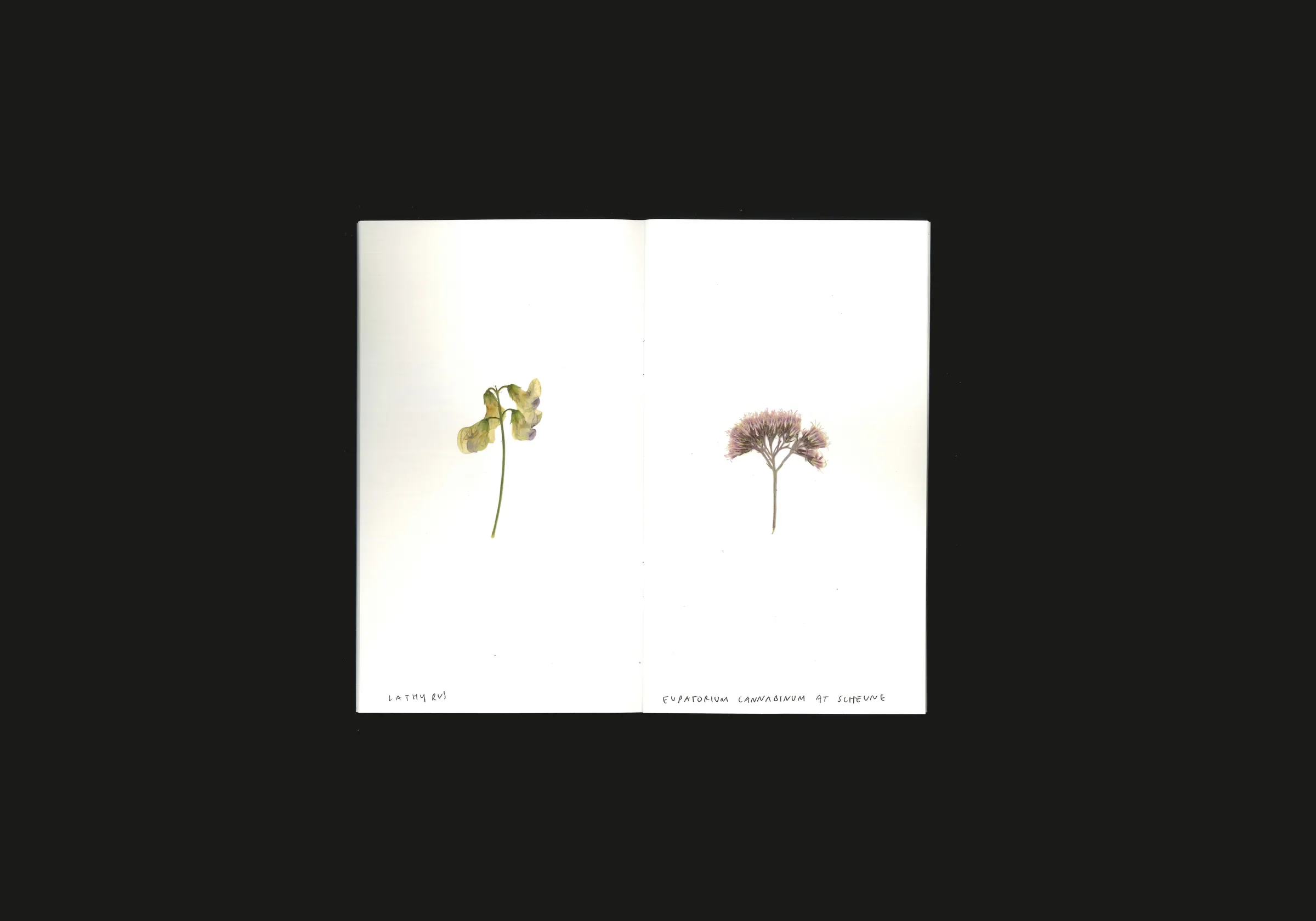 Neuss, Germany, image 7